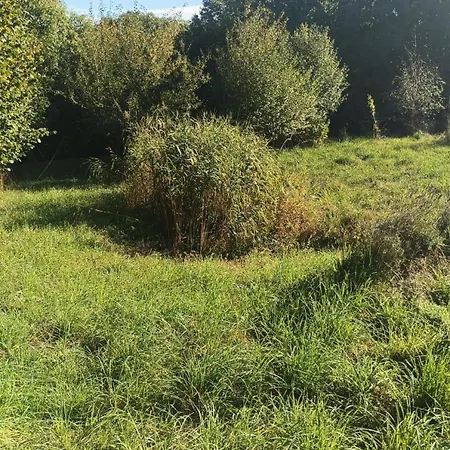 Repos Au Pied Du Puech *