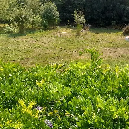 Repos Au Pied Du Puech Casa de Férias *